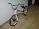 DSC01260.jpg