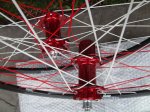 DSC05023.jpg