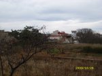 SL271761.JPG