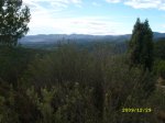 SL271775.JPG