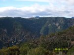 SL271787.JPG