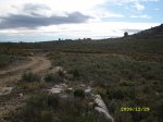 SL271791.JPG