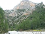 SL271809.JPG