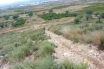 Navidad261209_26.jpg