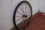 DSC04207_3.JPG