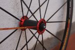 DSC04208_4.JPG