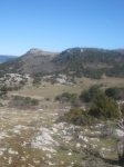 img3098nz5.jpeg