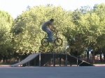 skateparktailwhip_0002.jpg