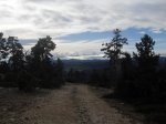 SDC10559.jpg