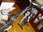 DSC00366.jpg
