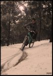 DSCF3746.jpg