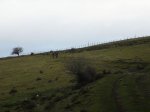 brindis 31-12-09 00001.JPG