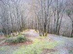 mtb sw aia dic 09 004.jpg