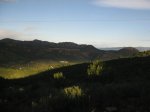 IMG_1618.jpg