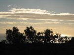 IMG_1626.jpg