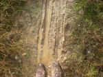 NOV 2009 109.jpg