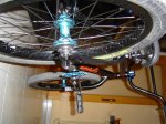 DSC00428.jpg