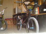 DSC00429.jpg