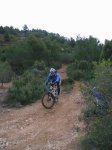 DSCF1617.JPG