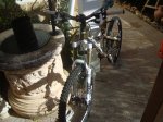 DSC01145.jpg