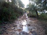 MTB - Arroyo hondo, montecoche 27 dic 09 012.jpg