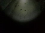 01012010160.jpg