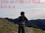 David3 copia.jpg