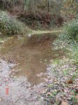 DSC03130.jpg