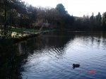 DSC03134.jpg