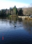 DSC03133.jpg