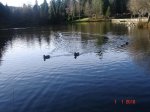 DSC03132.jpg