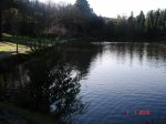 DSC03131.jpg