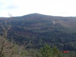 DSC03137.jpg