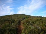 DSCN0485.JPG