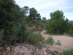 DSCN0495.JPG