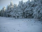 DSCN1794.jpg