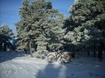 DSCN1797.jpg