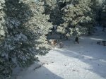 DSCN1801.jpg