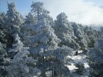 DSCN1802.jpg