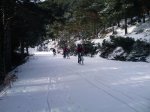 IMG_0008.jpg