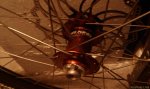 front hub.jpg