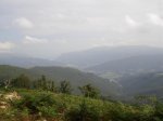 DSC01723.jpg