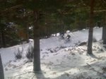 02012010968.jpg
