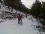 02012010990.jpg