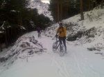 02012010995.jpg