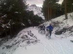 02012010997.jpg