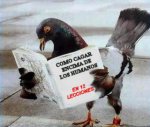 pajarocomocagar.jpg