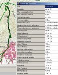 20100102 Algodonales - Cerro Mogote [los primeros 2km].jpg
