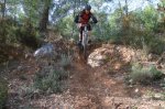 DSCF0702.jpg