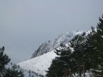 IMG_1301 [1280x768].JPG
